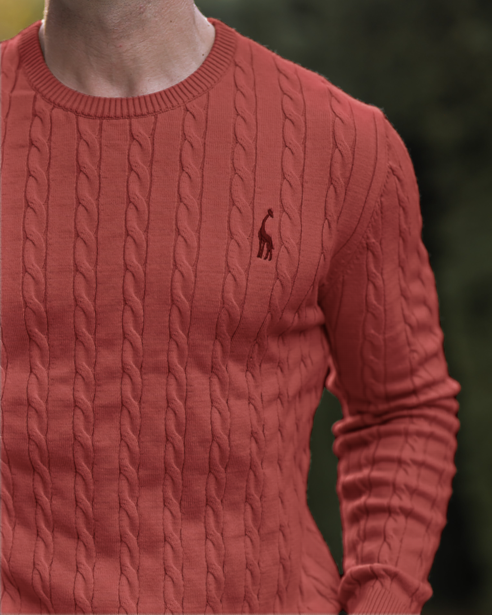 Giraffe Cable Knit Sweater - Ahaselected