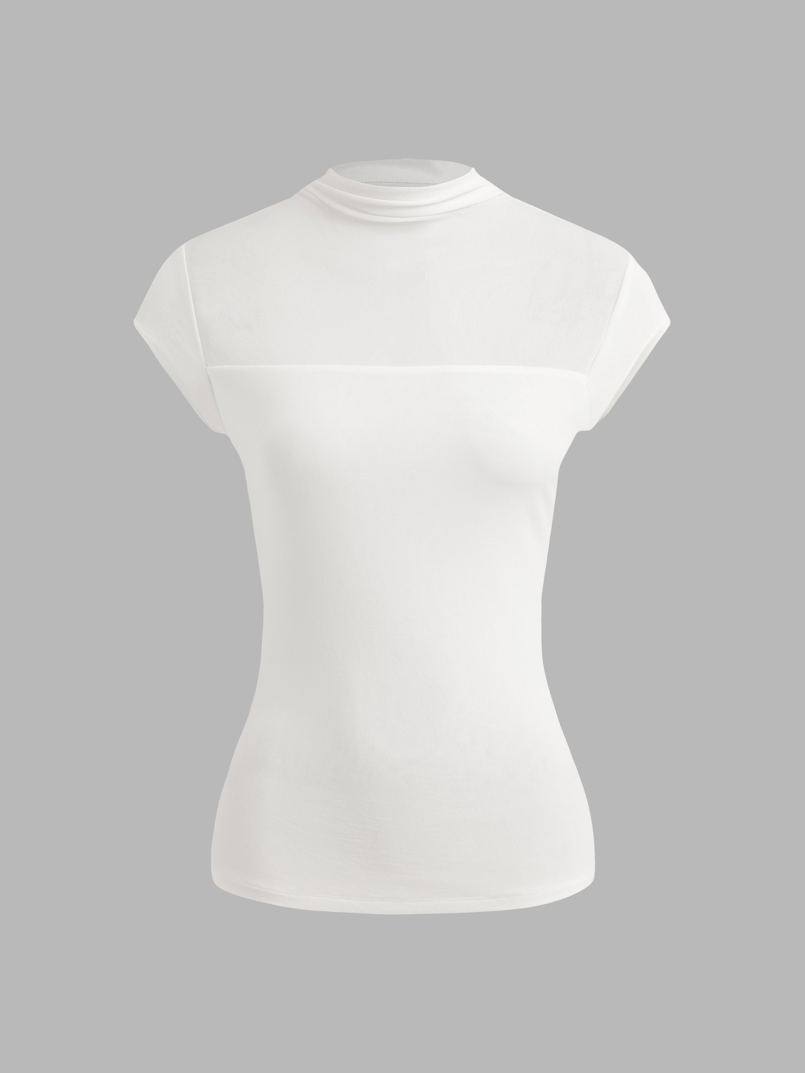 Sleeveless High Neck Mesh Top - Ahaselected