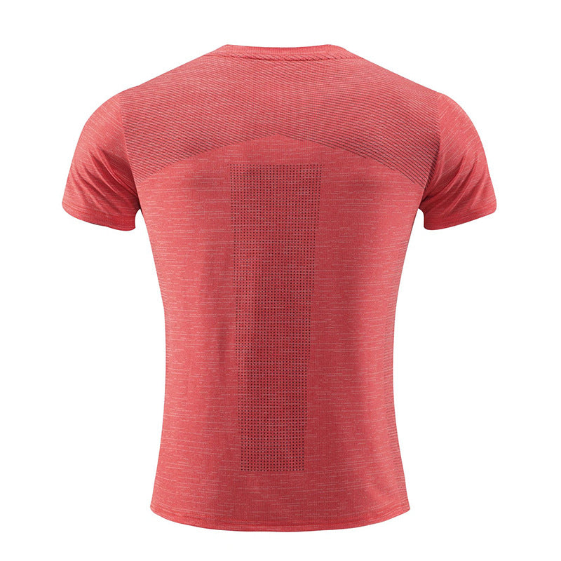 Quick Dry Short Sleeve Tee Muscle Fit - Ahaselected