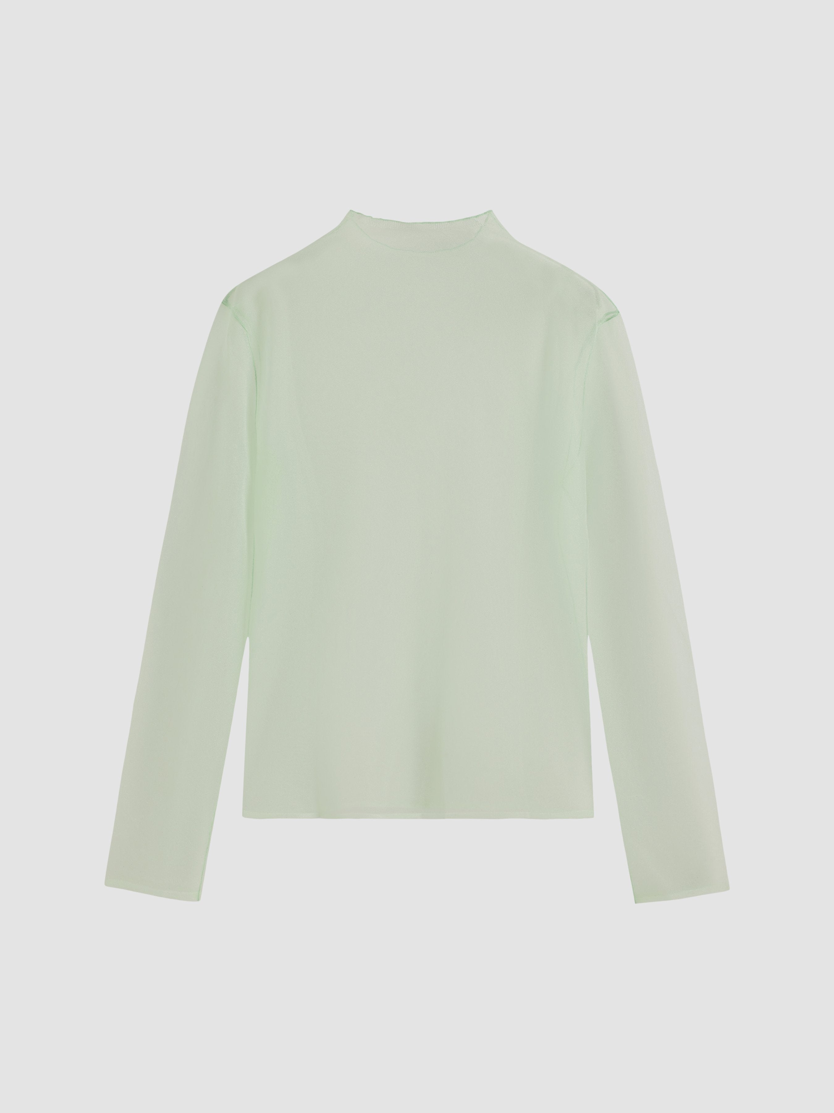 Mesh Sheer Turtleneck Long Sleeve T-shirt - Ahaselected