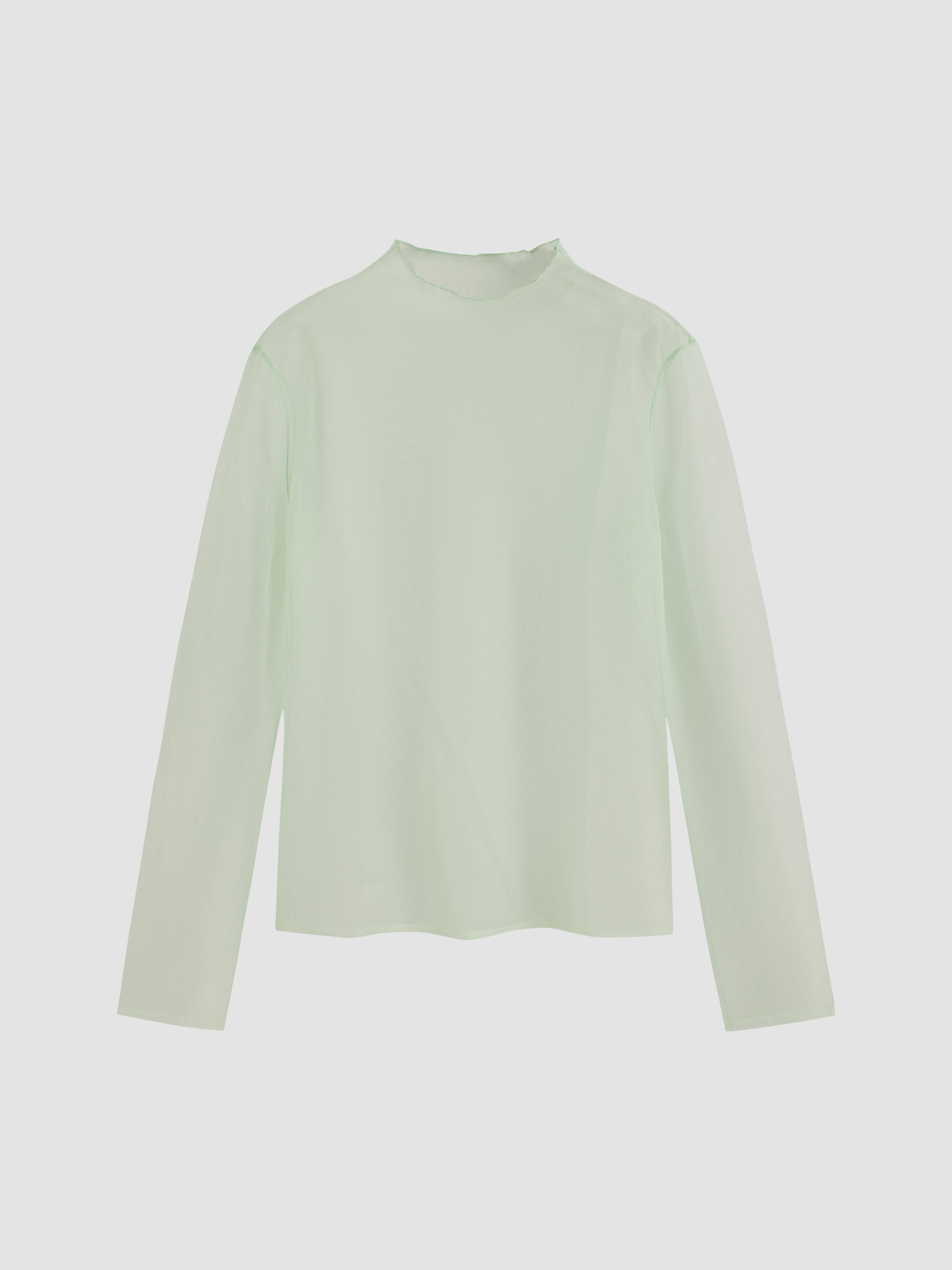 Mesh Sheer Turtleneck Long Sleeve T-shirt - Ahaselected